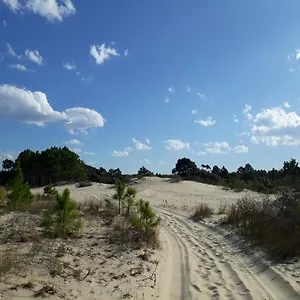 Casa De Praia Para Veraneio - Temporada Balneário Gaivotas-sc Família Kunhasky Casa de Férias